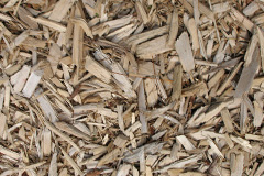 biomass boilers Kinloch