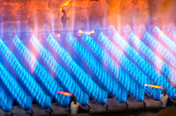 Kinloch gas fired boilers